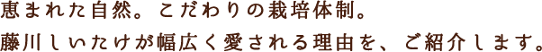 恵まれた自然。こだわりの栽培体制。藤川しいたけが幅広く愛される理由を、ご紹介します。