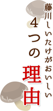 藤川しいたけがおいしい、４つの理由