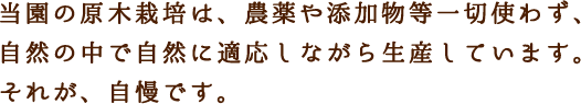 当園の原木栽培は、農薬や添加物などいっさい使わず、自然の中で自然に適応しながら生産しています。